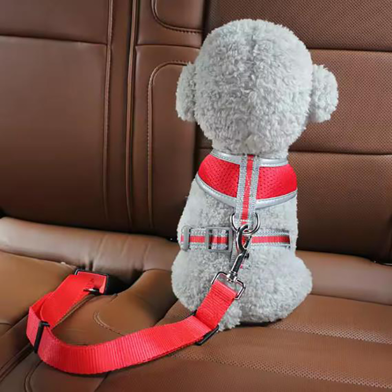Dog seat belts hot sale pet ca - Swing Seat Belt recension och pris