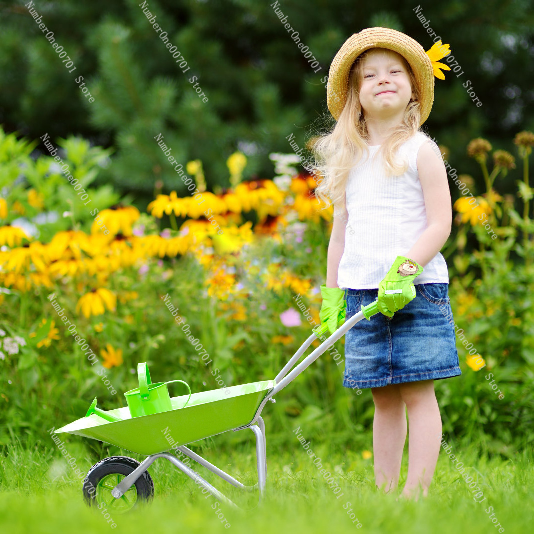 Kids Outdoor Wheelbarrow, Gree - Kids Outdoor Activity Toys recension och pris