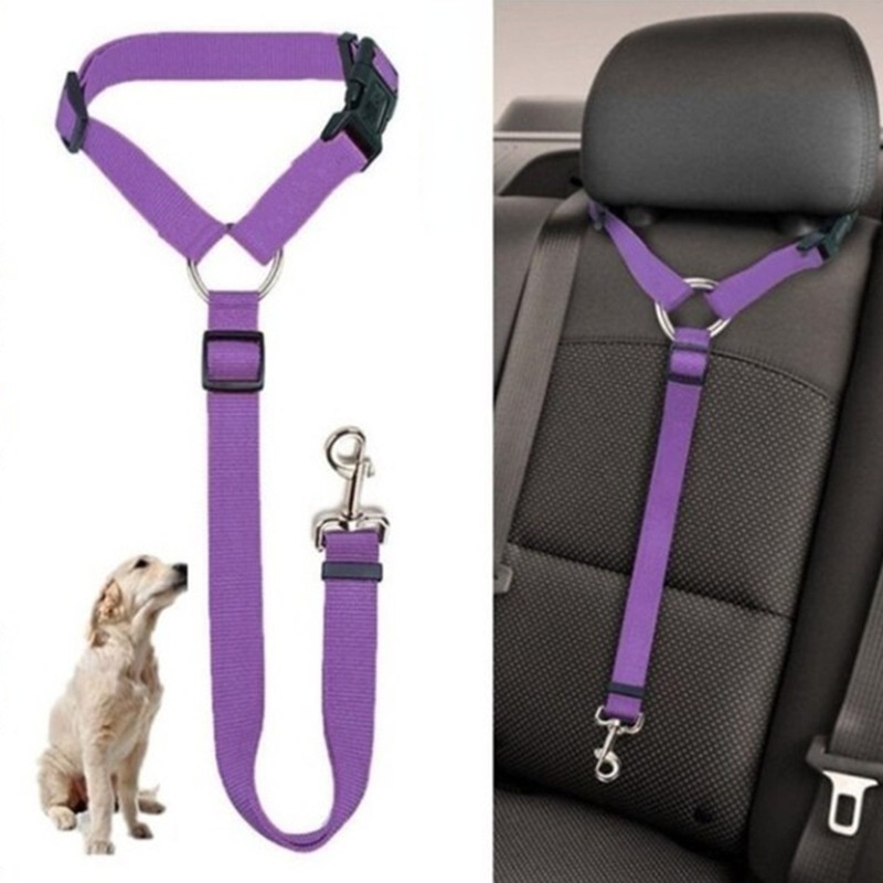 Adjustable Dog Seat Belt Dog H - Swing Seat Belt recension och pris